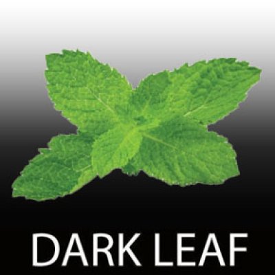 画像1: Mint ◆FUMARI 100g Dark Leaf