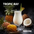 TROPIC RAY トロピックレイ DARK SIDE 100g