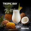 画像1: TROPIC RAY トロピックレイ DARK SIDE 100g (1)