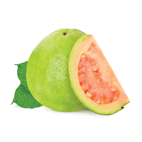 画像1: Guava グアバ FUMARI 100g (1)