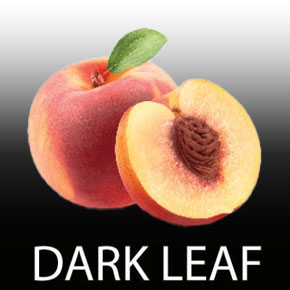 画像1: White Peach ◆FUMARI 100g Dark Leaf (1)