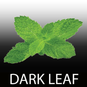 画像1: Mint ◆FUMARI 100g Dark Leaf (1)